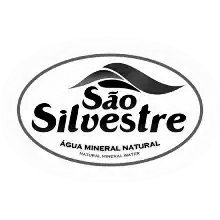 São silvestre